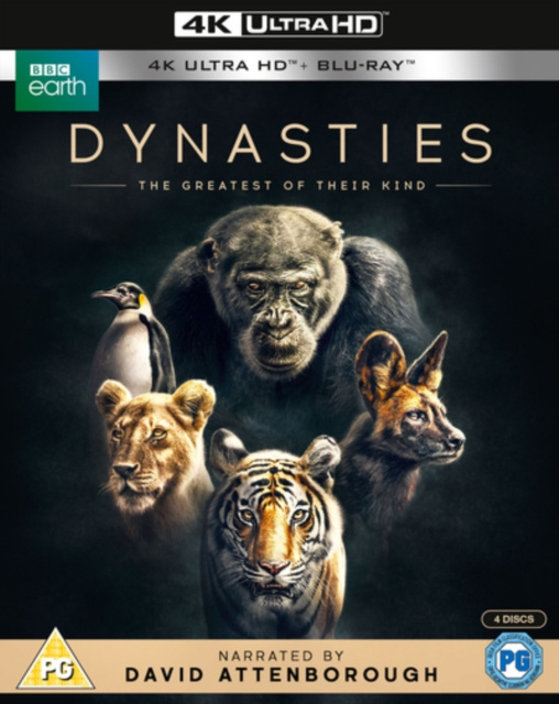 Video Dynasties 