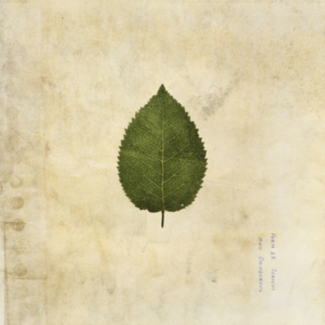Audio The Cold Still The Boxer Rebellion