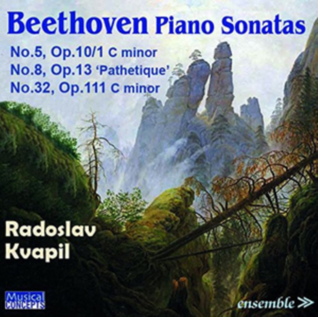 Audio Beethoven: Piano Sonatas 