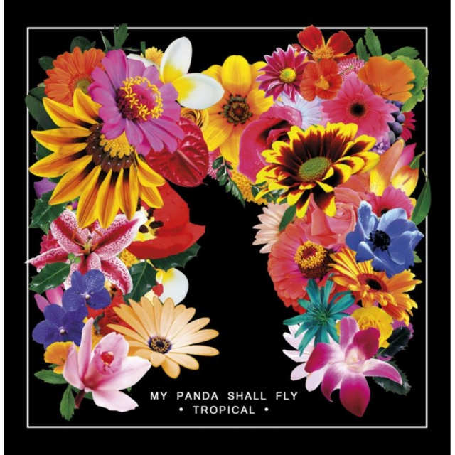 Audio Tropical My Panda Shall Fly