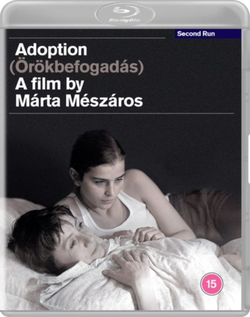 Video Adoption 