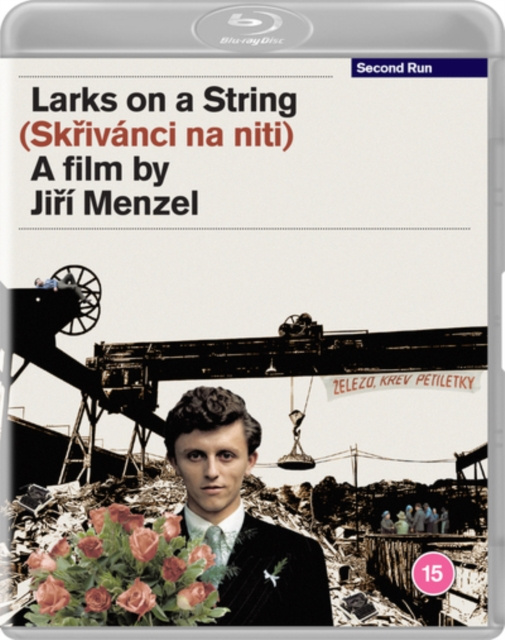 Video Larks On a String 