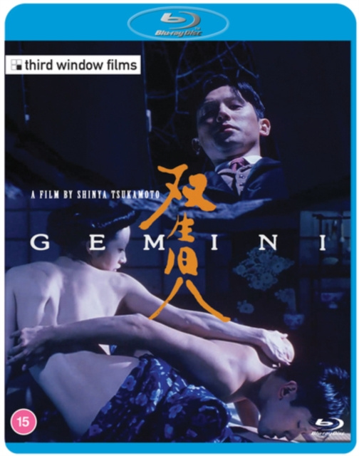 Video Gemini 