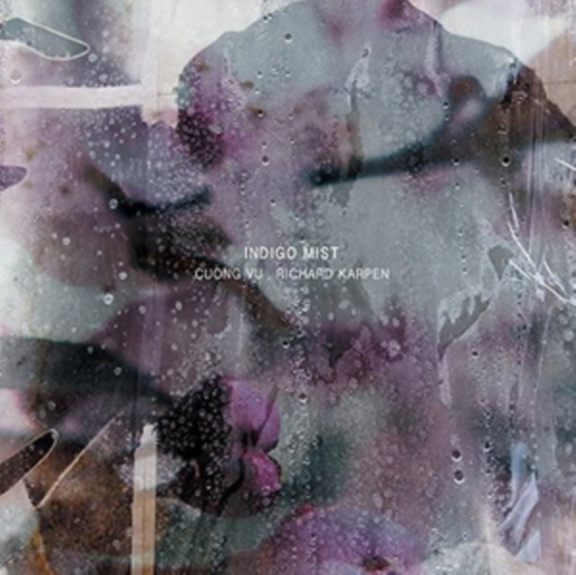 Audio That the Days Go By and Never Come Again Indigo Mist