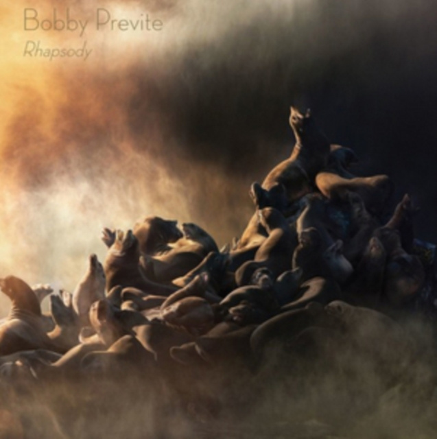 Audio Rhapsody Bobby Previte
