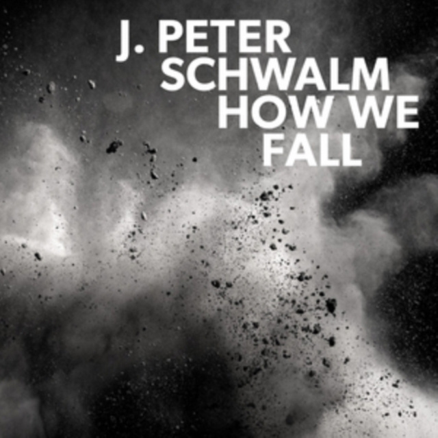 Audio How We Fall J. Peter Schwalm