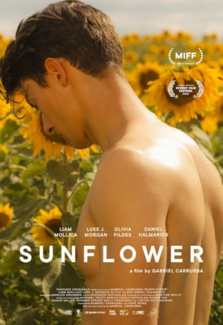 Video Sunflower 
