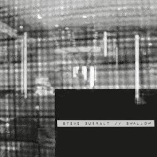 Audio Swallow Steve Queralt