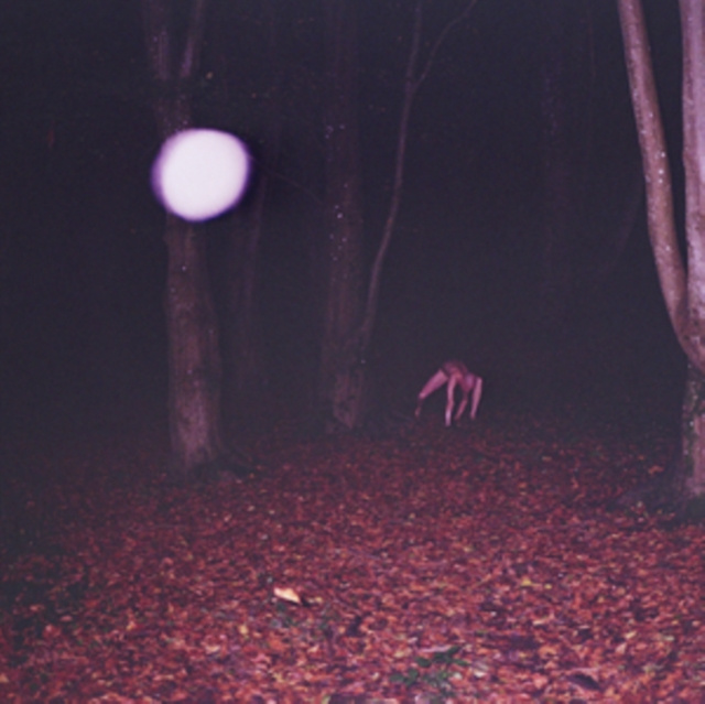 Audio Skinwalker Buzzard Buzzard Buzzard