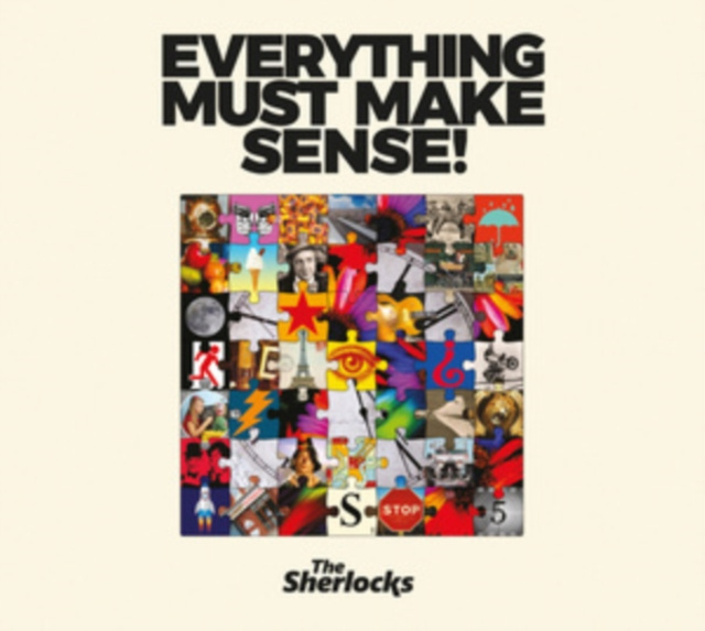 Audio Everything Must Make Sense! The Sherlocks