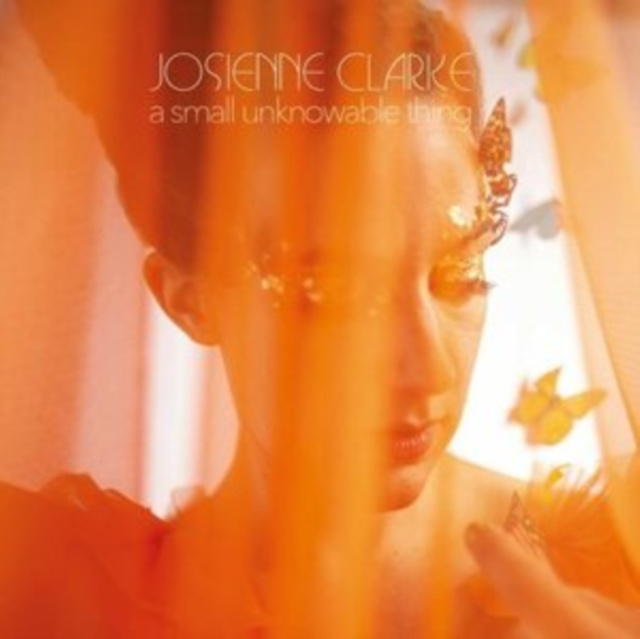 Audio A Small Unknowable Thing Josienne Clarke
