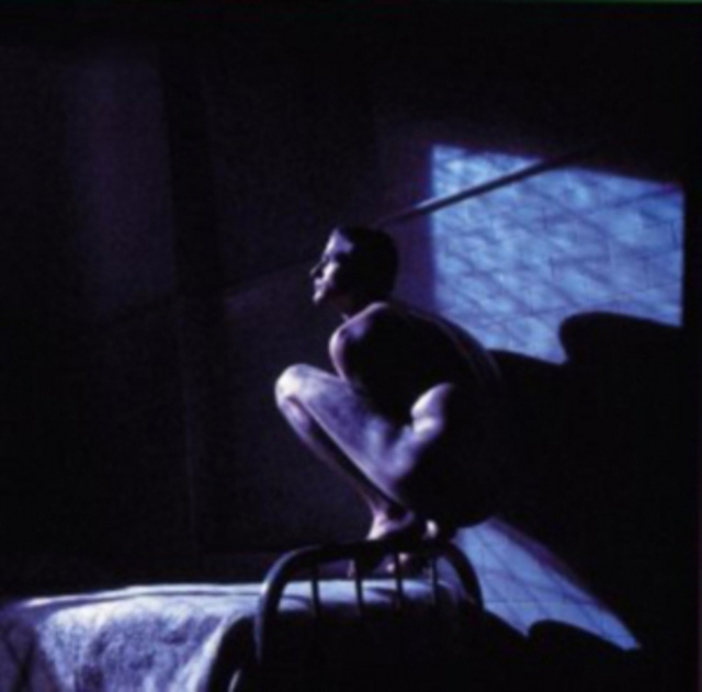 Audio Birdy Peter Gabriel