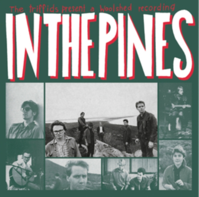 Audio In the Pines The Triffids