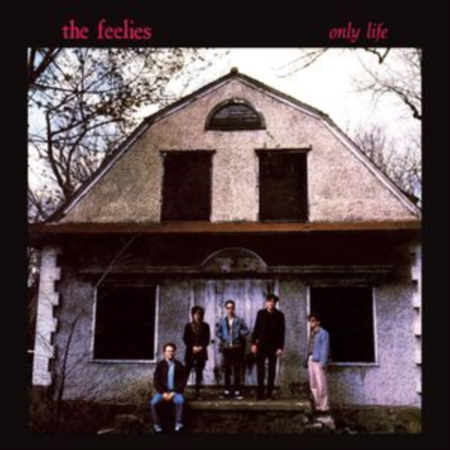 Audio Only Life The Feelies