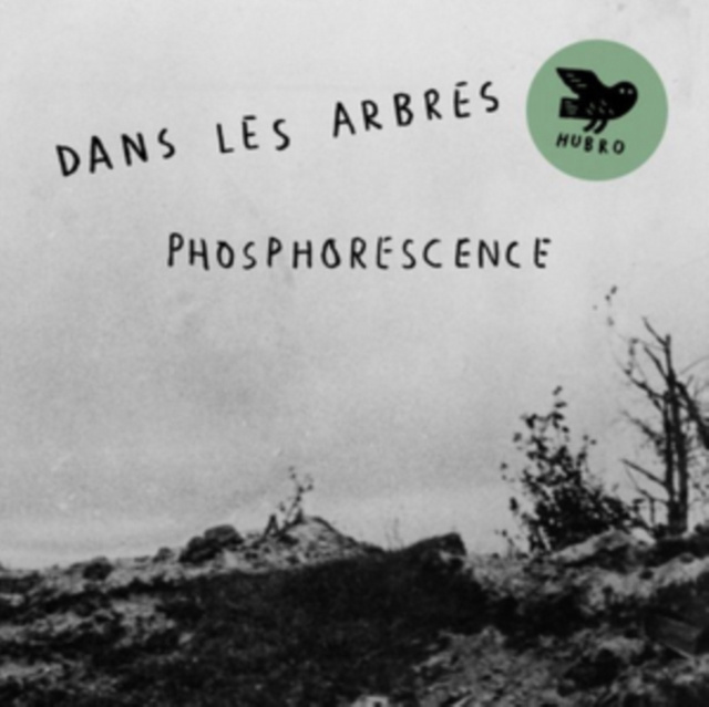 Audio Phosphoresence Dans Les Arbres