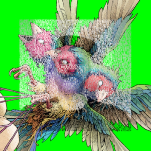 Audio Hatch Gouldian Finch