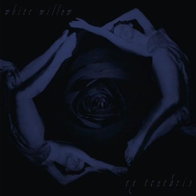 Audio Ex Tenebris White Willow