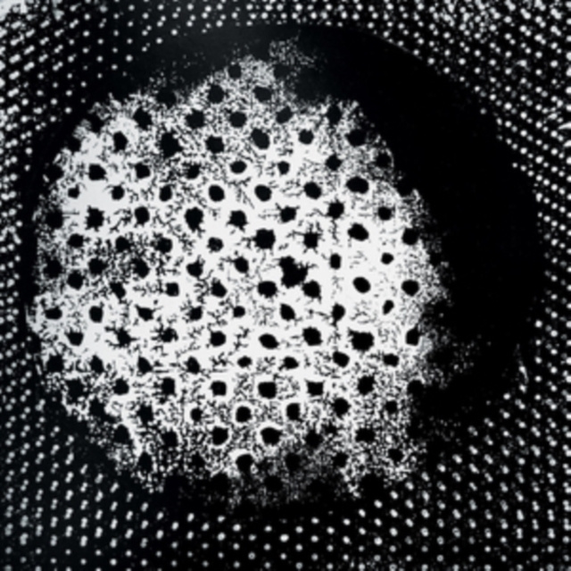 Audio Patashnik Biosphere