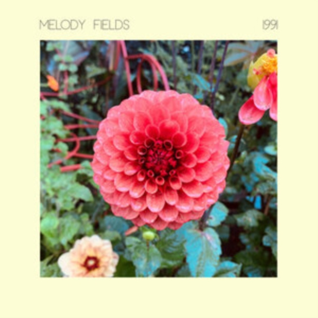 Audio 1991 Melody Fields