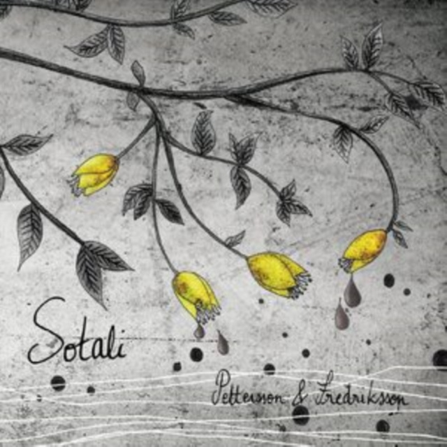 Audio Sotali Pettersson & Fredriksson