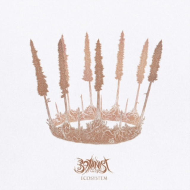 Audio Ecosystem Botanist