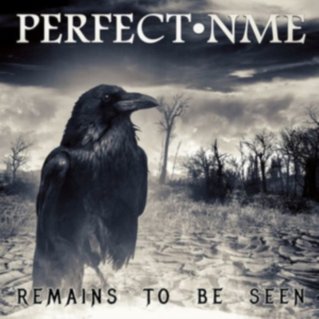 Audio Remians to Be Seen Perfect NME