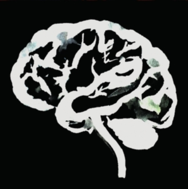 Audio Brain Flakes Ruins