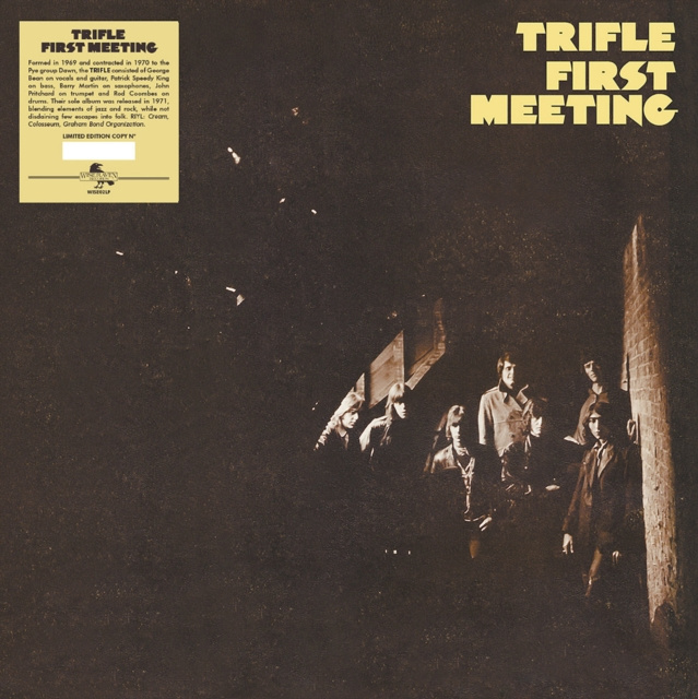 Audio First Meeting Trifle