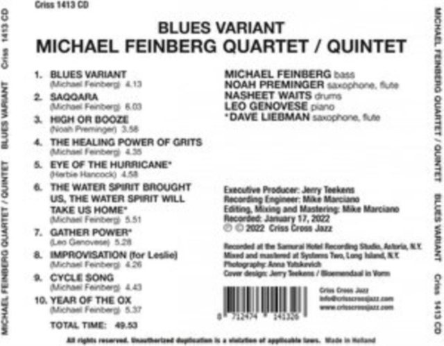 Audio Blues Variant Michael Feinberg