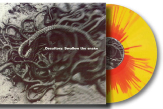 Audio Swallow the Snake Desultory