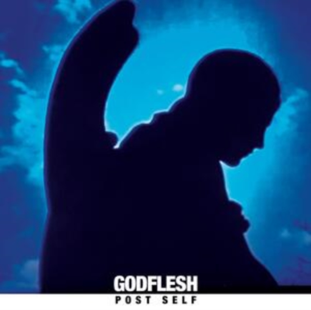 Audio Post Self Godflesh