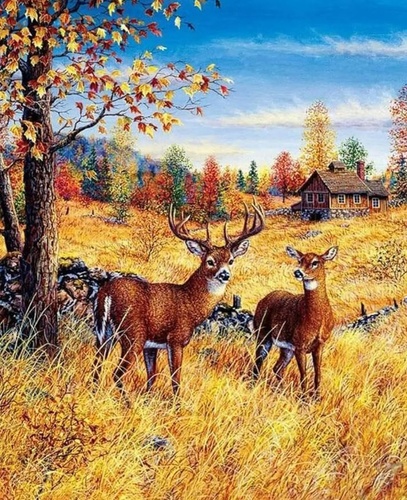 Igra/Igrača Diamantové malování Jeleni na poli 30x40cm 