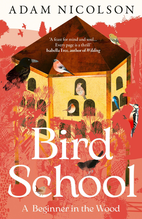 Kniha Bird School Adam Nicolson