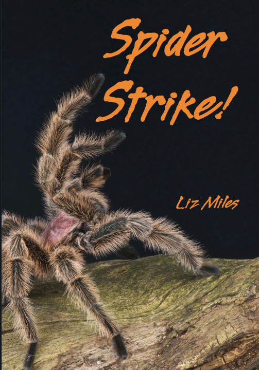 Kniha Spider Strike! Liz Miles