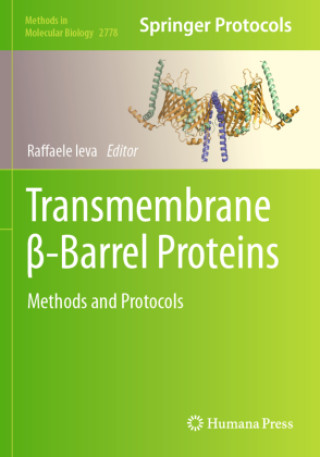 Kniha Transmembrane ?-Barrel Proteins Raffaele Ieva