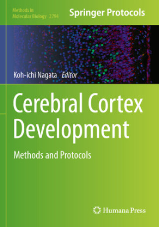 Kniha Cerebral Cortex Development Koh-ichi Nagata