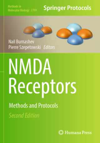 Knjiga NMDA Receptors Nail Burnashev