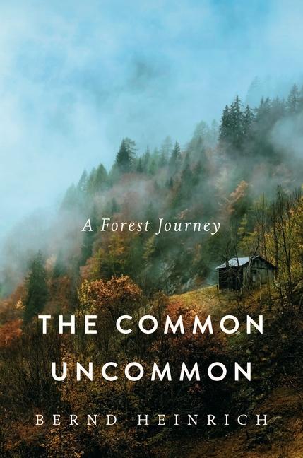 Kniha The Common Uncommon HEINRICH BERND