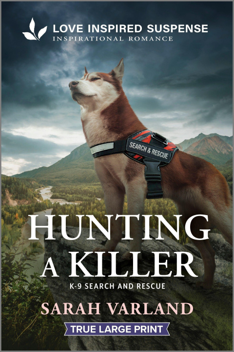 Kniha Hunting a Killer 