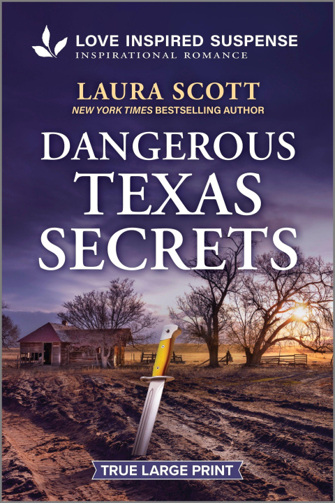 Kniha Dangerous Texas Secrets 