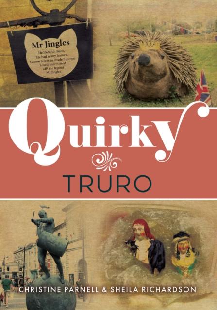 Buch Quirky Truro Sheila Richardson