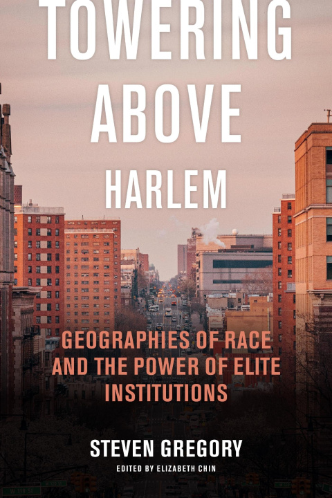 Libro Towering Above Harlem Elizabeth Chin
