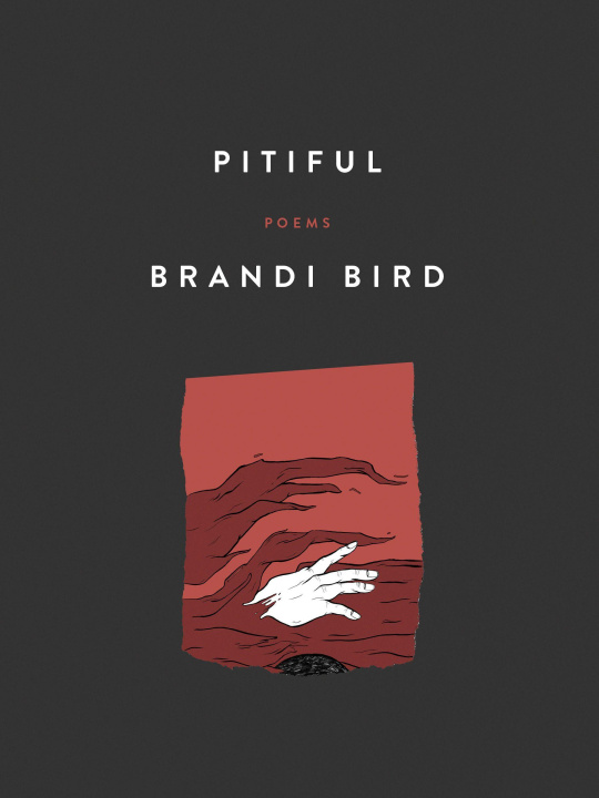 Knjiga Pitiful Brandi Bird