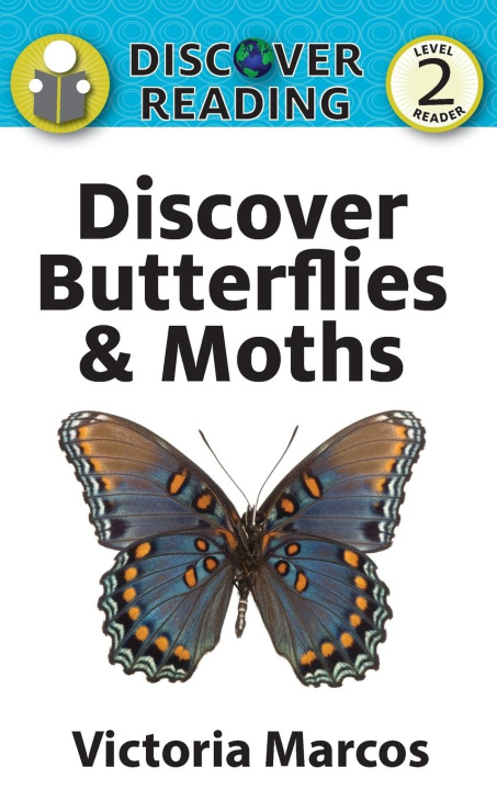 Kniha Discover Butterflies & Moths 