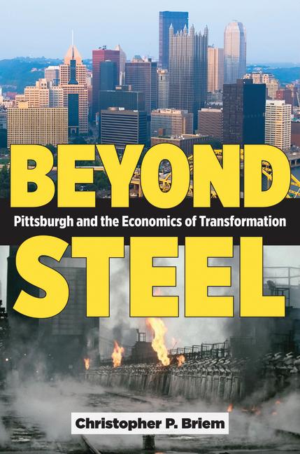Kniha Beyond Steel Christopher P. Briem