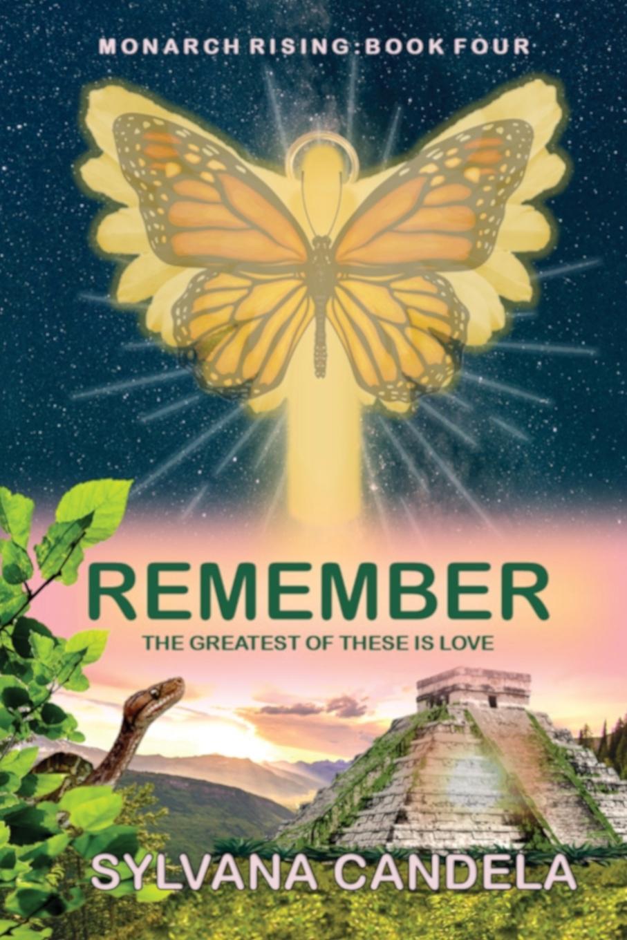 Knjiga Remember 
