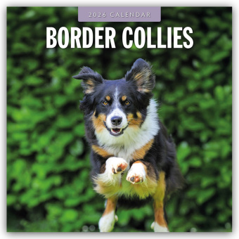 Calendario/Agenda Border Collies - Border Collie 2026 - 16-Monatskalender Red Robin
