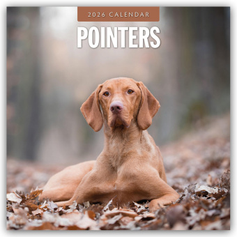 Kalendář/Diář Pointers - Vorstehhund - Pointer 2026 - 16-Monatskalender Red Robin