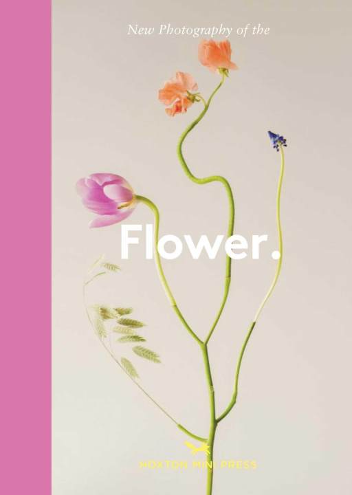Knjiga Flower. Hoxton Mini Press