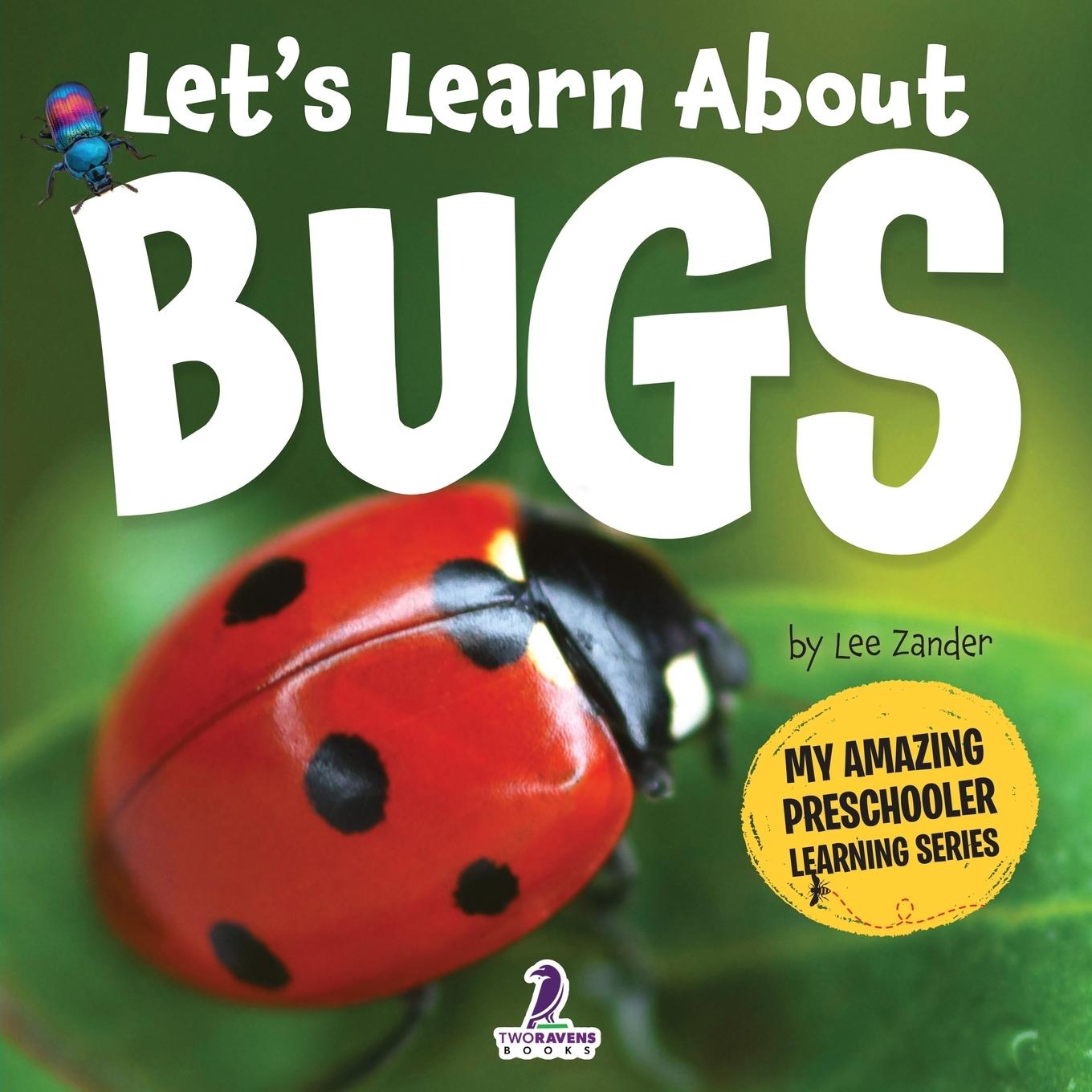 Kniha Let's Learn About Bugs Two Little Ravens